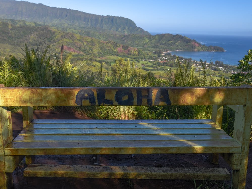 Aloha Bench