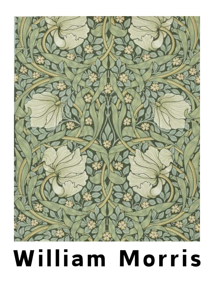 William Morris Floral Illustration
