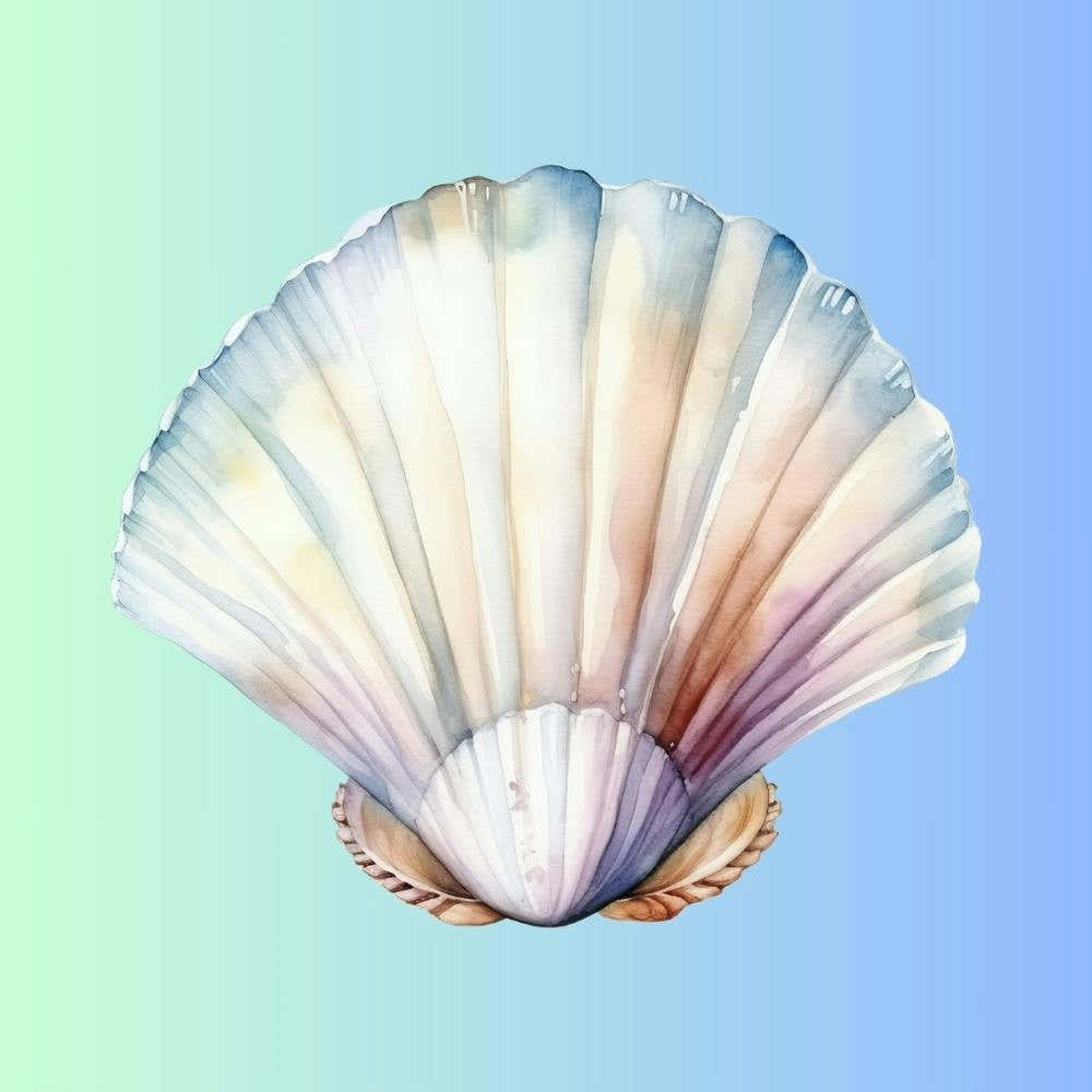 Watercolor Seashell