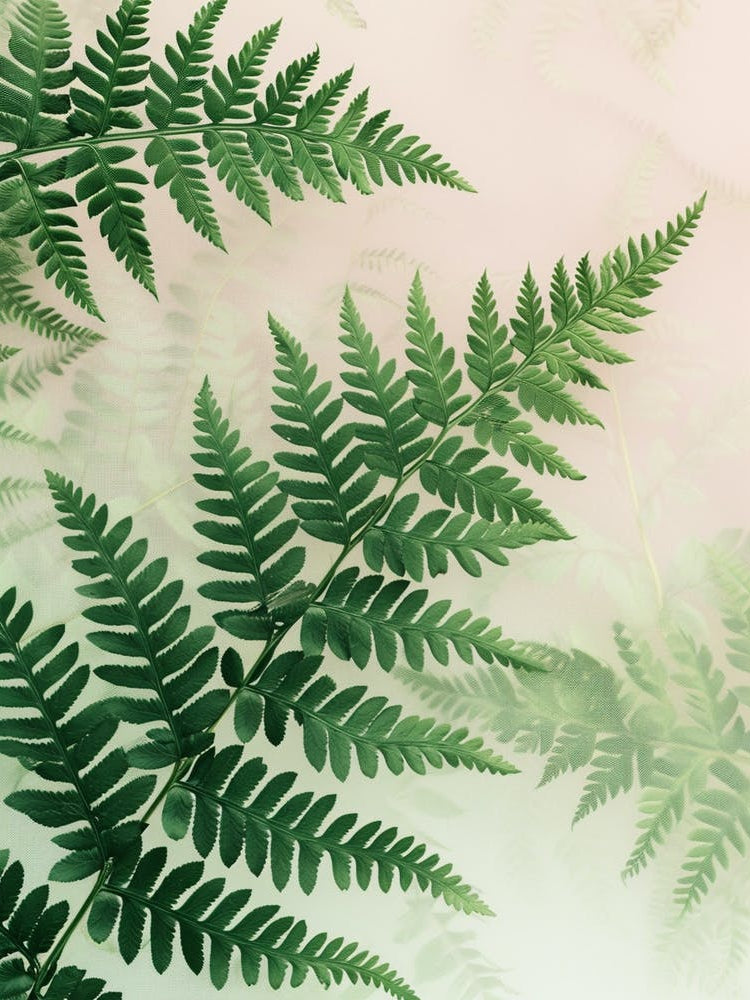 Pattern Poster Netted Chain Fern 1