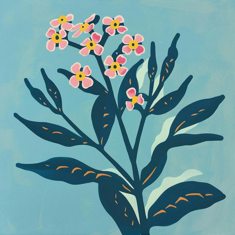 Forget Me Not Square Flower Illustration