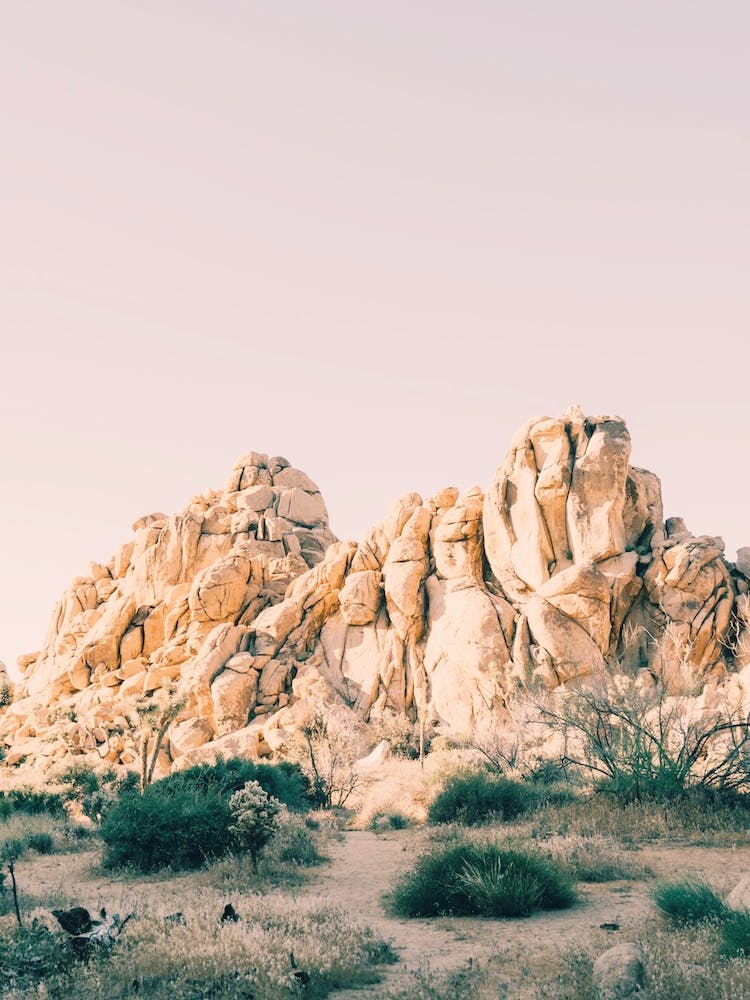 Purple Desert Sunset