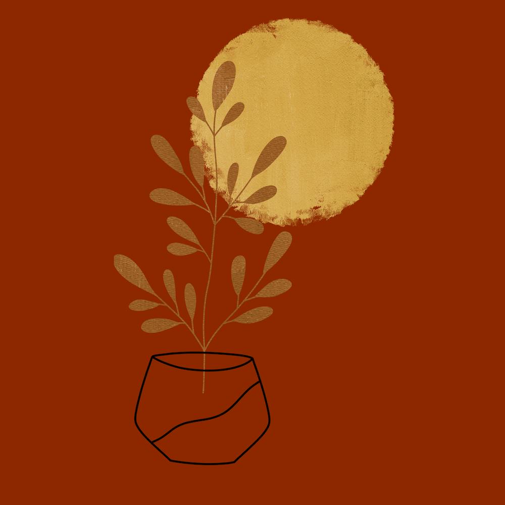 Plante en Pot
