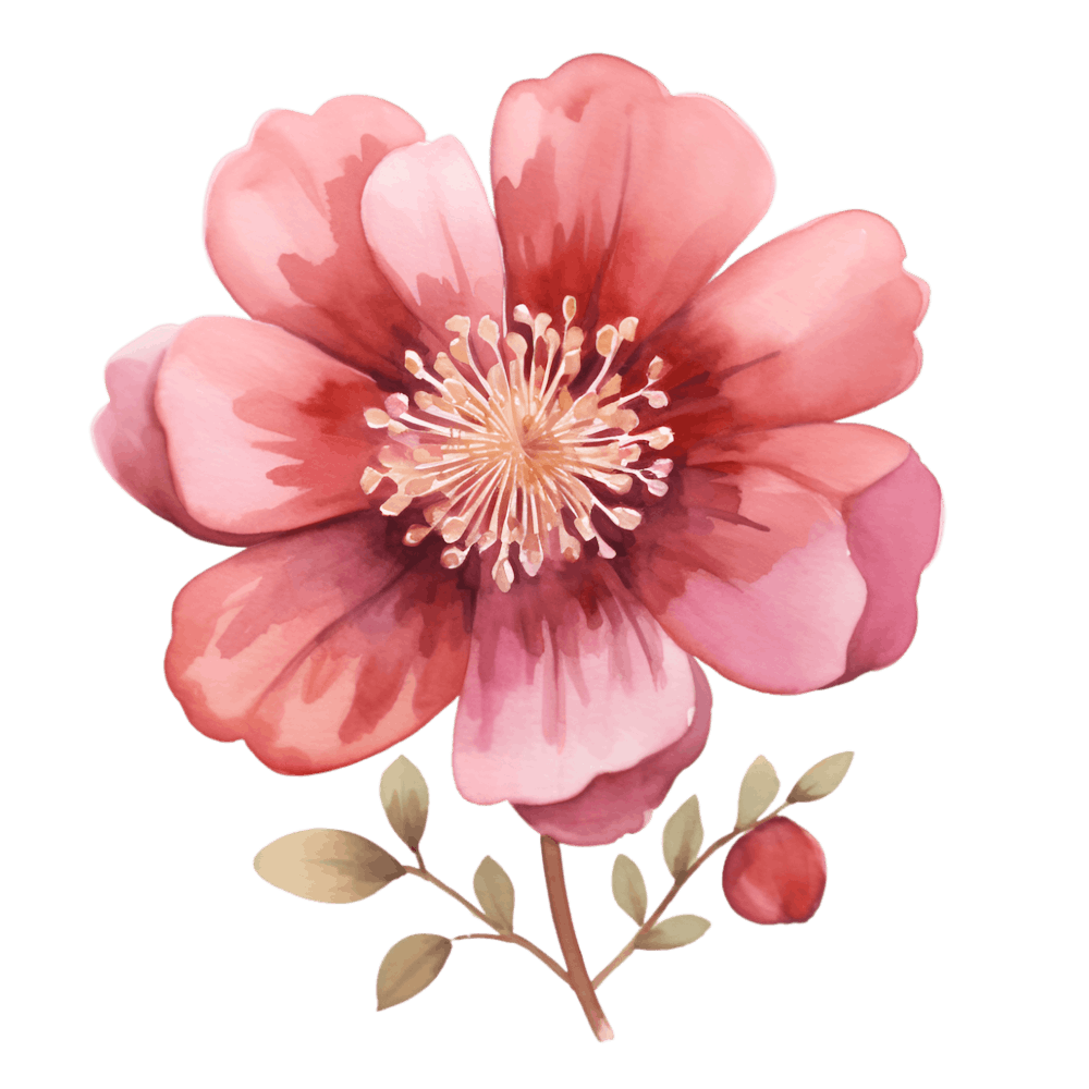 Watercolor Flower 1