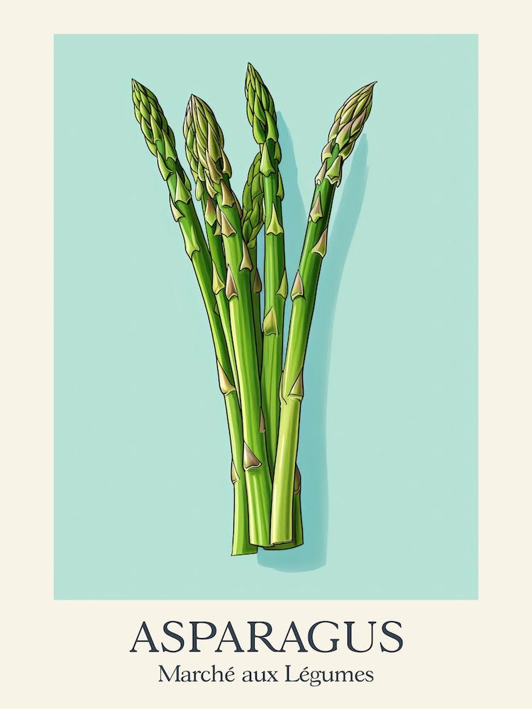 Marche Aux Legumes Asparagus Summer Illustration 3