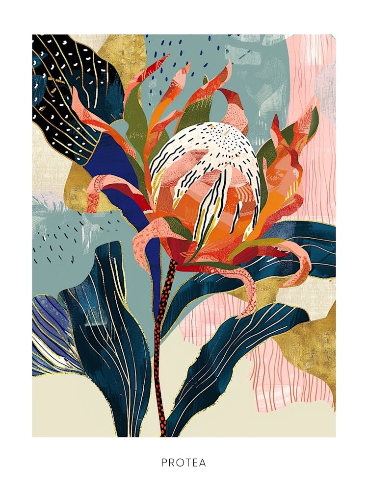Colourful Flower Illustration Poster Protea 3