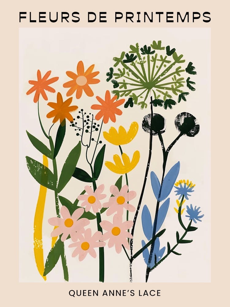 Spring Floral French Poster  Queen Annes Lace 1