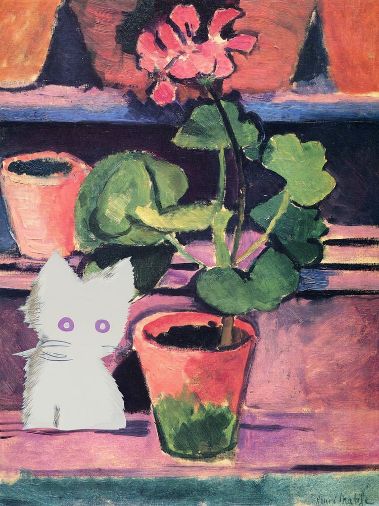 Pot Of Geraniums  Style With White Cat