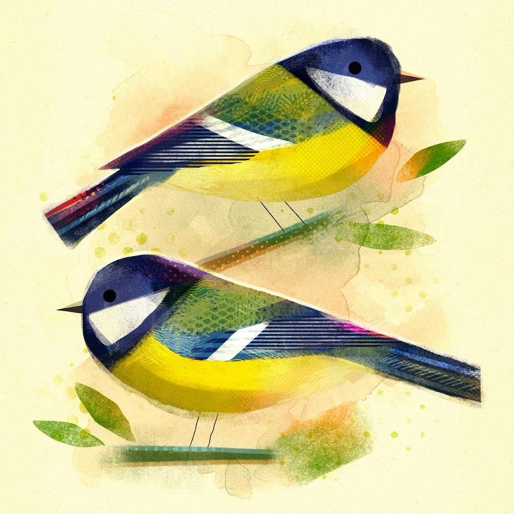 Great Tits Square