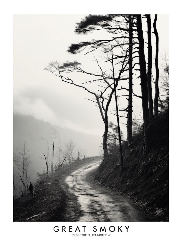 Poster Of Great Smoky, Black And White Analogue Photograph 4