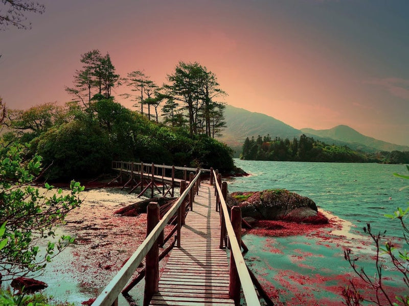 Build a Bridge 1