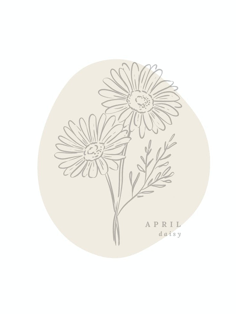 April Daisy  Birth Flower | Neutral Florals