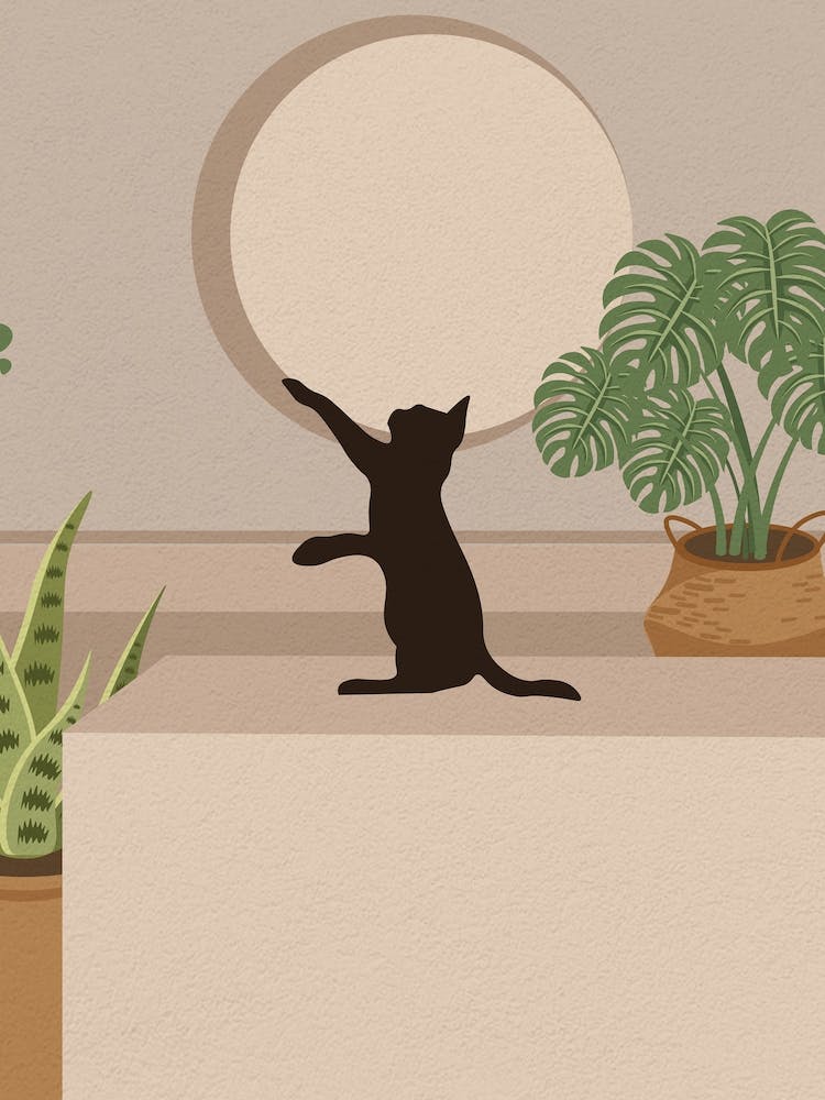 Minimal Art Cat and Plant