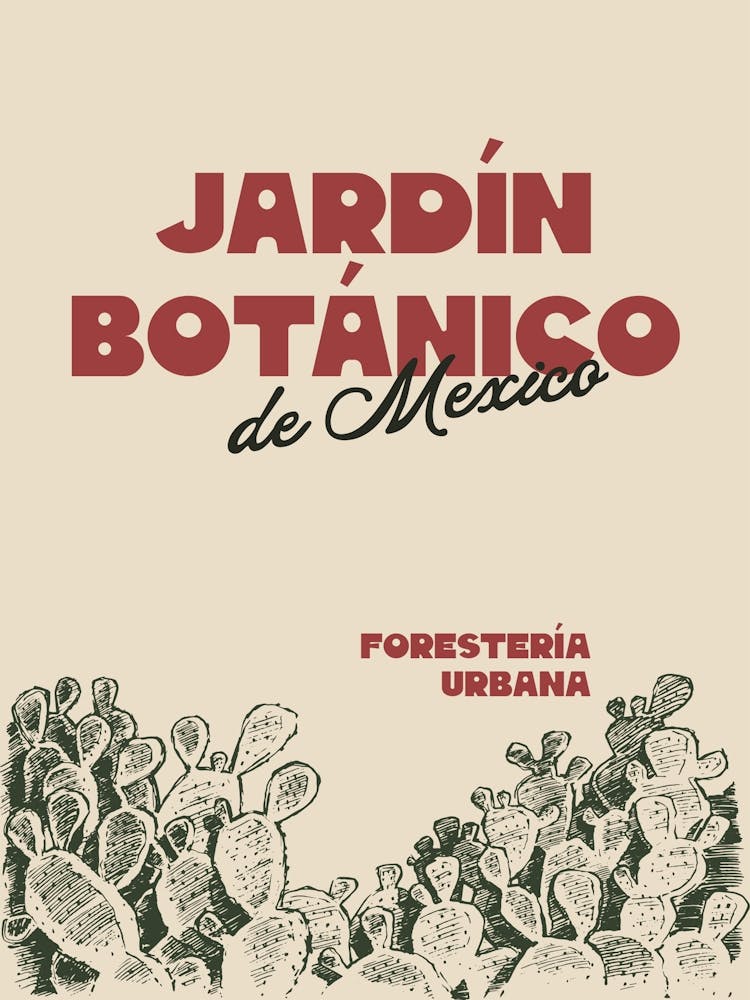 Jardin Botanico de Mexico Cactus Poster Printable, Desert Plants Wall Art, Botanical Garden Decor