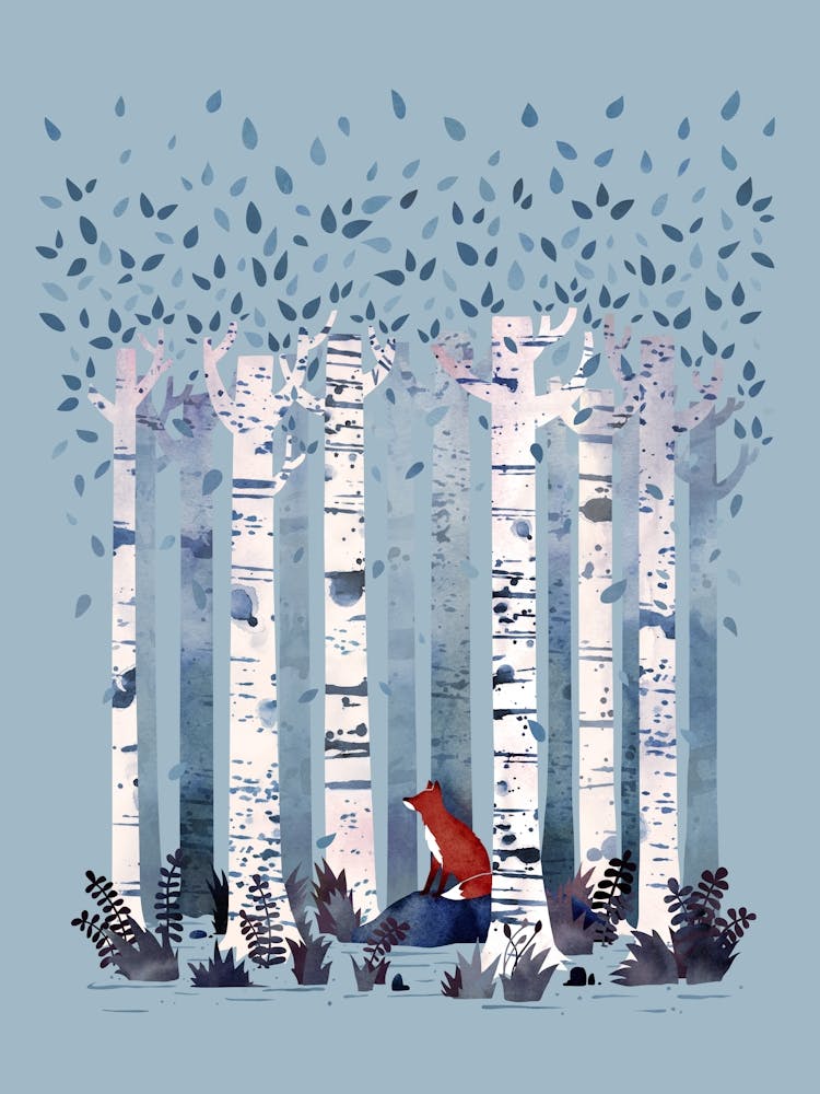 Fox In The Birches In Blue
