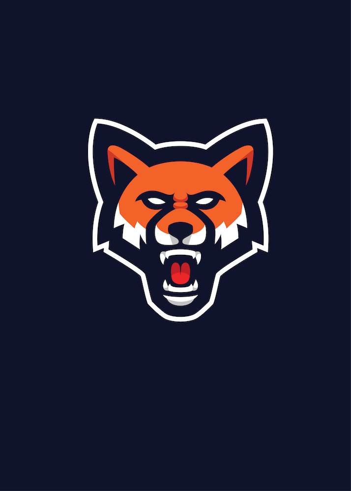 Fox Animal