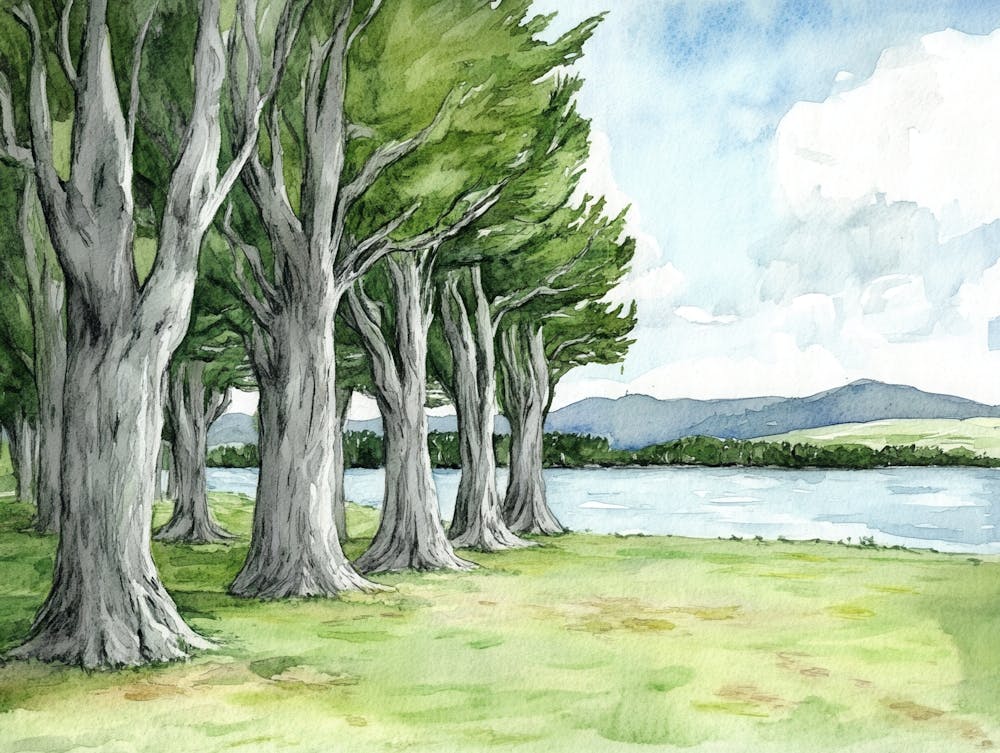 Trees By The Lake
