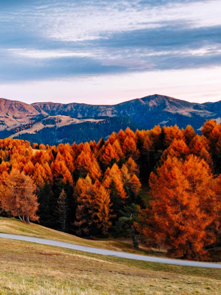 Autumn In The Mountains