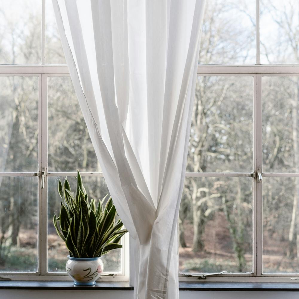 The Windows The White Curtans And The Green Square