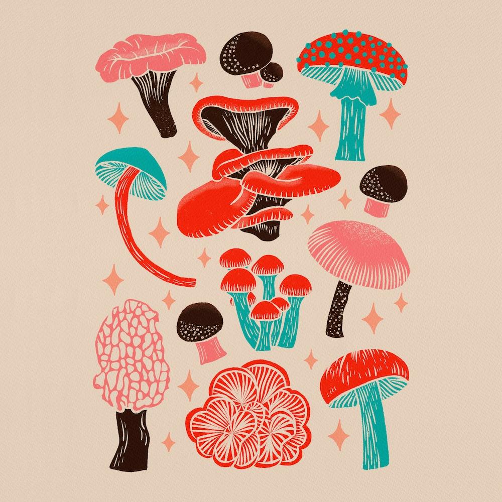 Texas Mushrooms   Red Pink And Turquoise Square