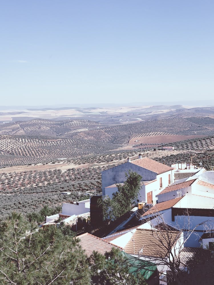 The Town On The Hill