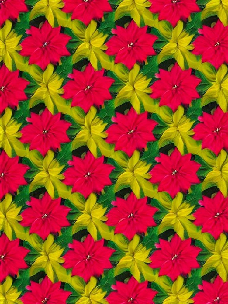 Poinsettia Andy Warhol Flower
