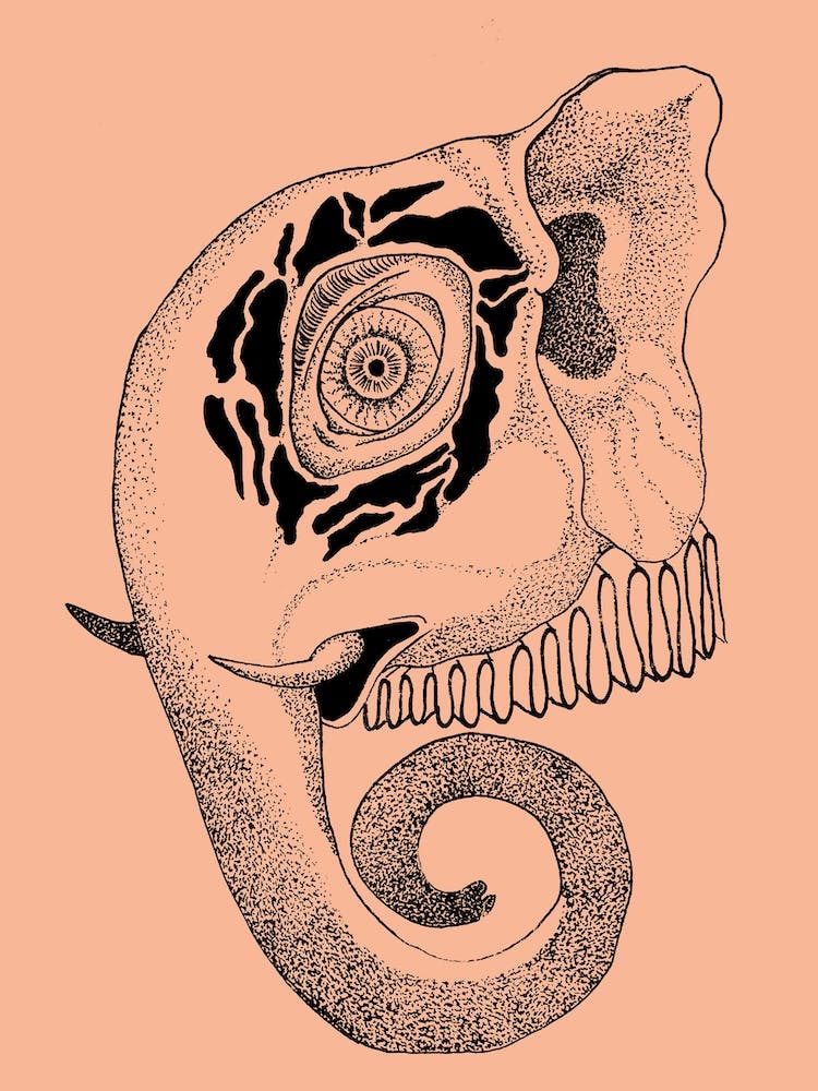 Elephant Man