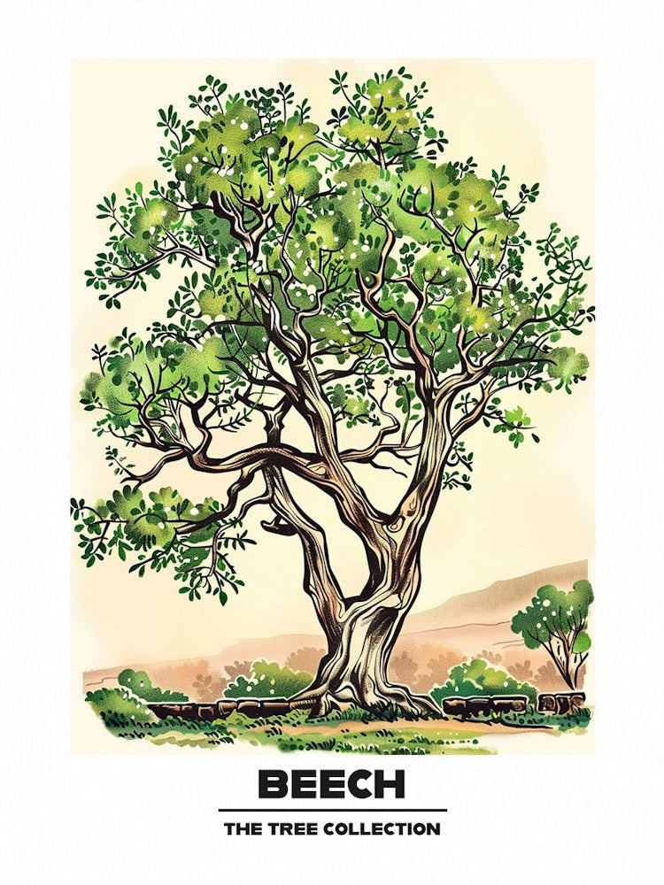 Beech Tree Storybook Illustration 3 Poster