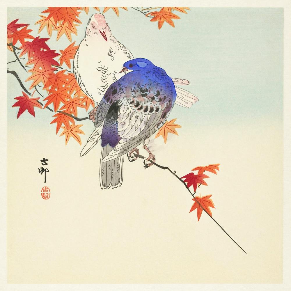 Two Pigeons On Autumn Branch (1900 1936), Ohara Koson