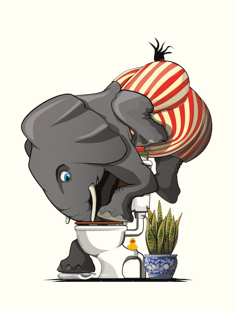 Elephant Drinking From Toilet