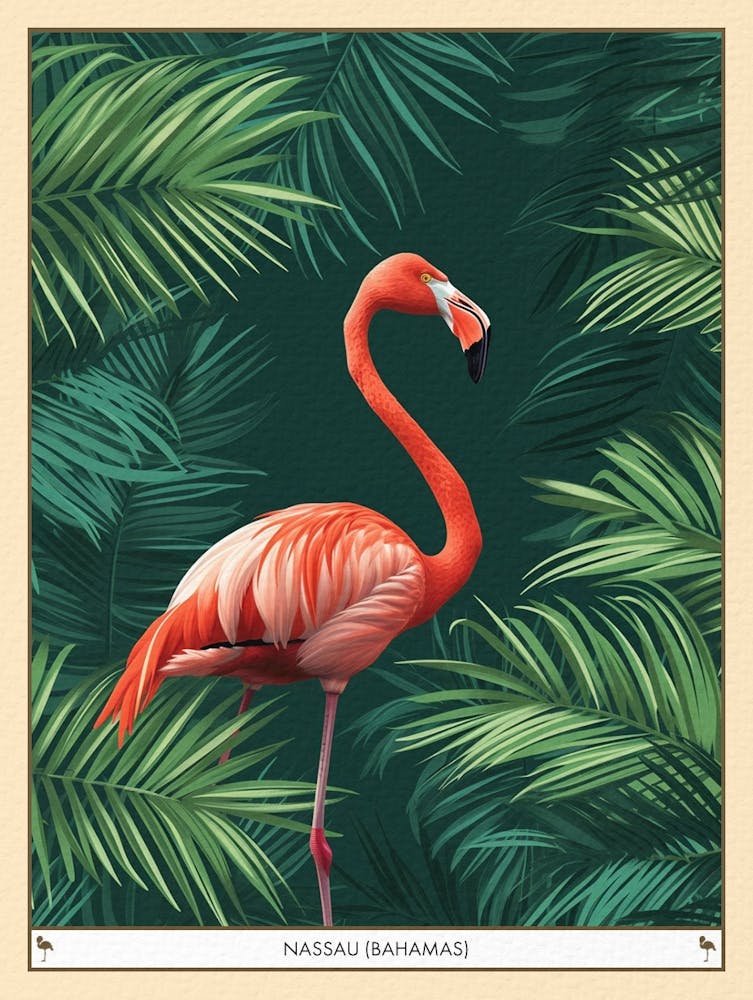 Greater Flamingo Nassau Bahamas Tropical Illustration 5 Poster