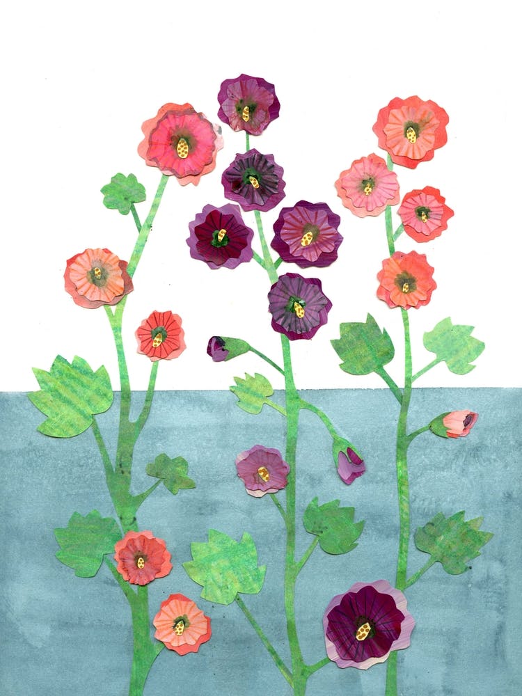 Hollyhocks In Blue & White