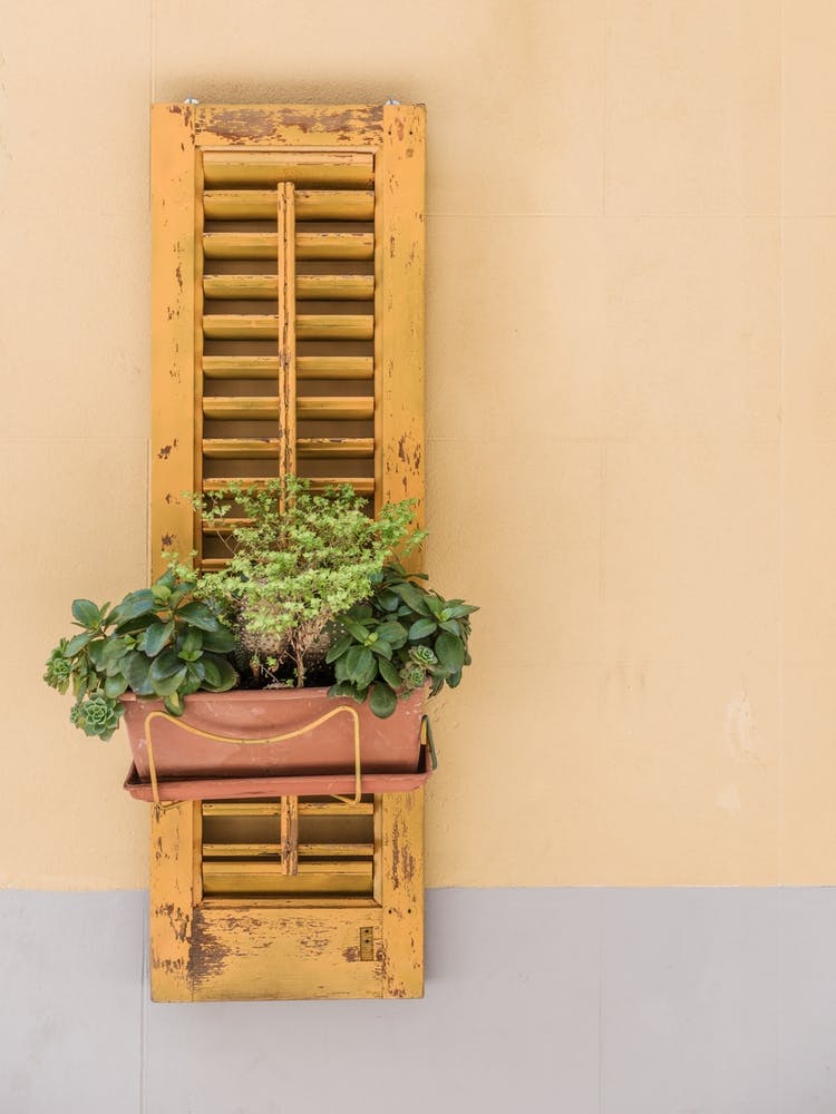 Yellow House Decoration, Italy