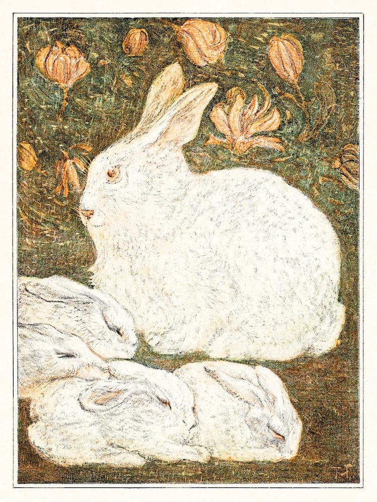 Rabbits (1878–1910), Theo Van Hoytema