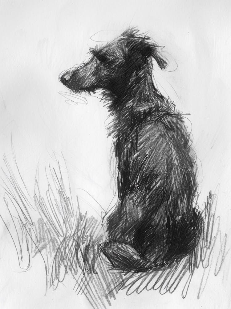  Redbone Dog Charcoal Line 2