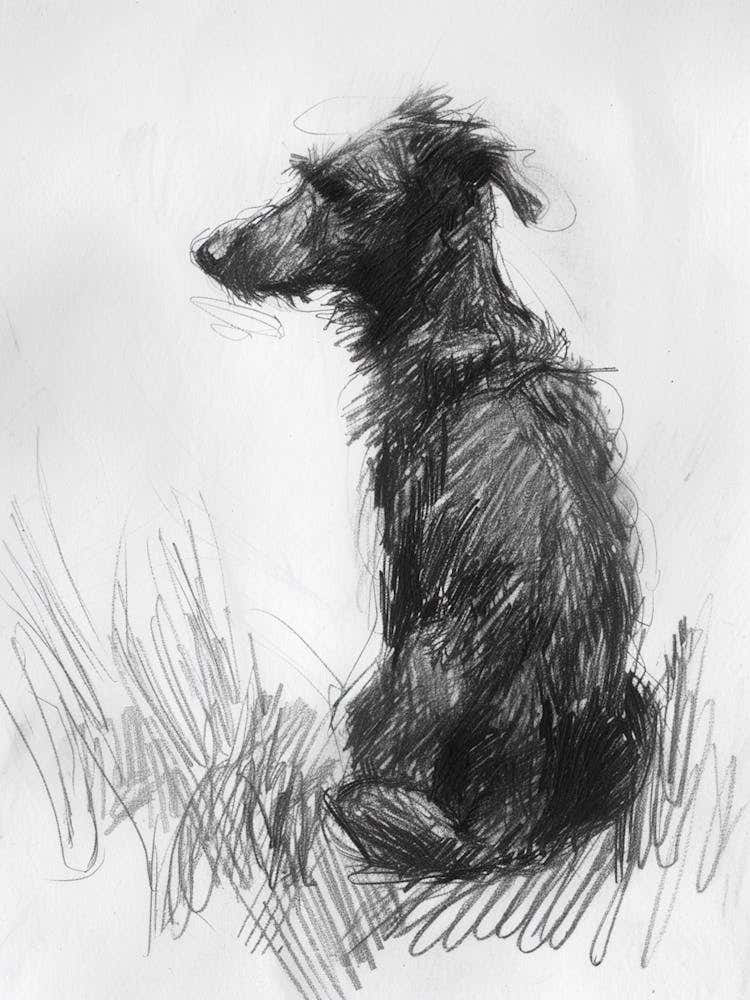 Redbone Dog Charcoal Line 2