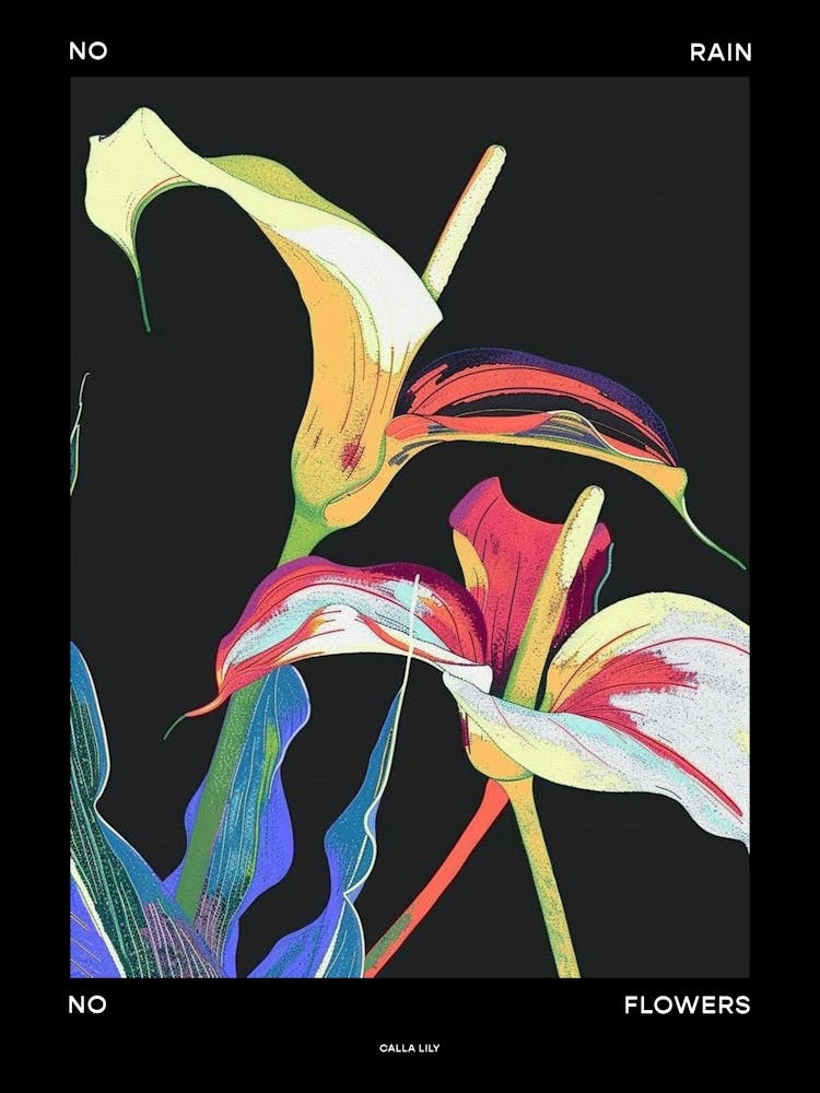 No Rain No Flowers Poster Calla Lily 3