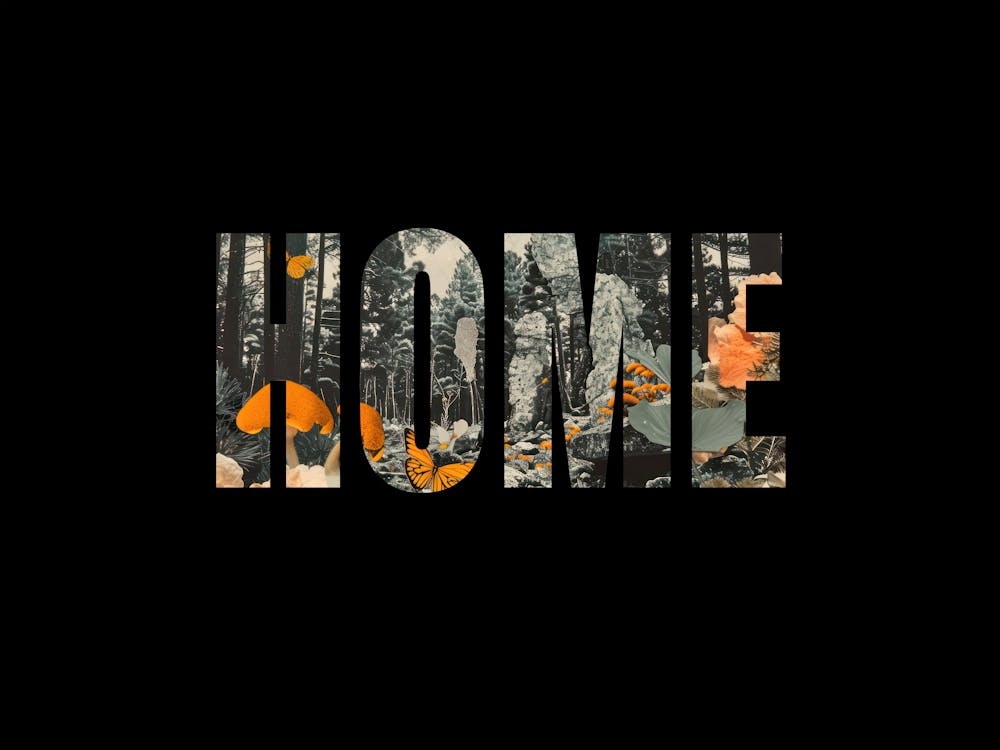 Home Poster Forest Photo Collage 7