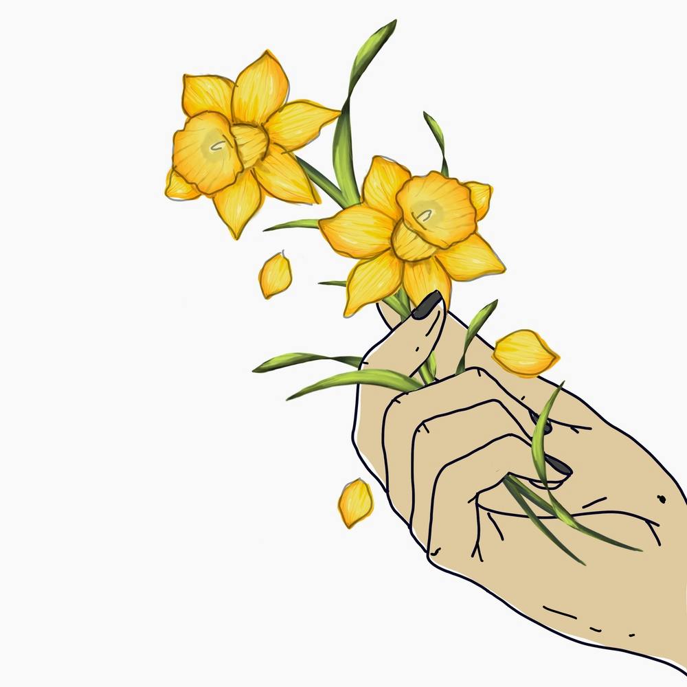 Daffodils In Hand Square