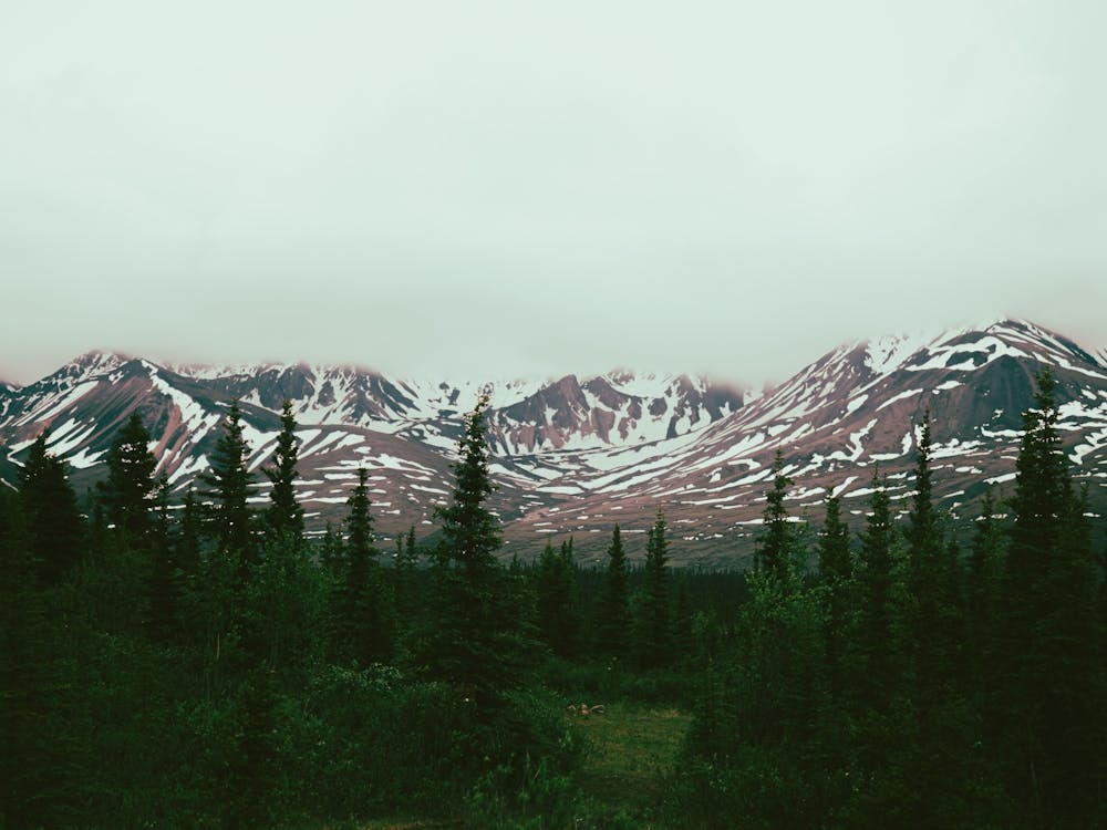 Alaska Daydreams