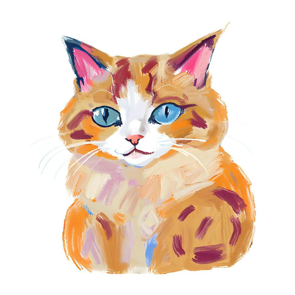 Ragdoll Cat 01