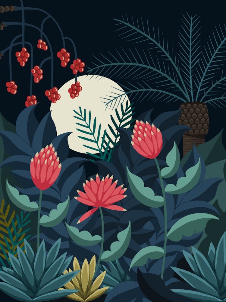 Full Moon Night In The Jungle