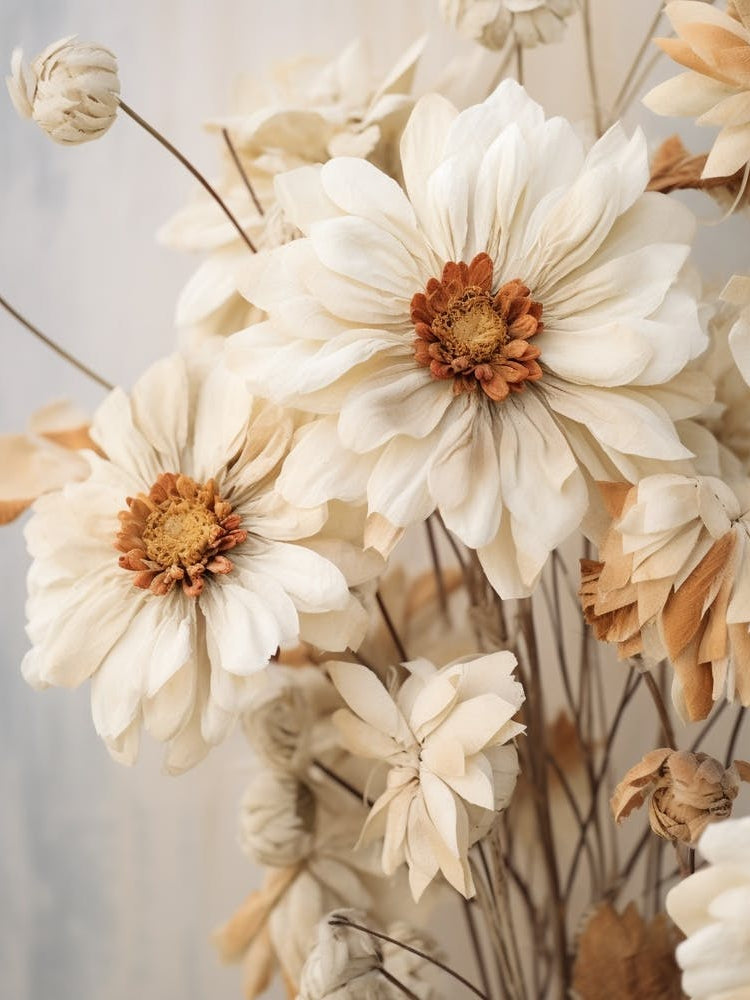 Boho Dried Flowers Zinnia 3