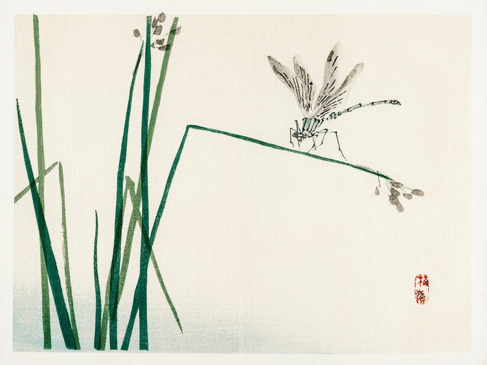 Dragonfly On Bulrush Leaf, Kōno Bairei