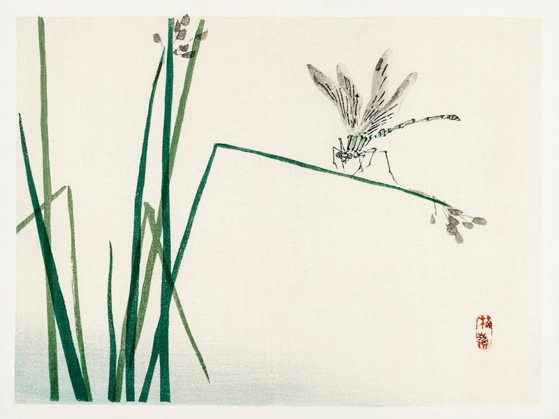 Dragonfly On Bulrush Leaf, Kōno Bairei