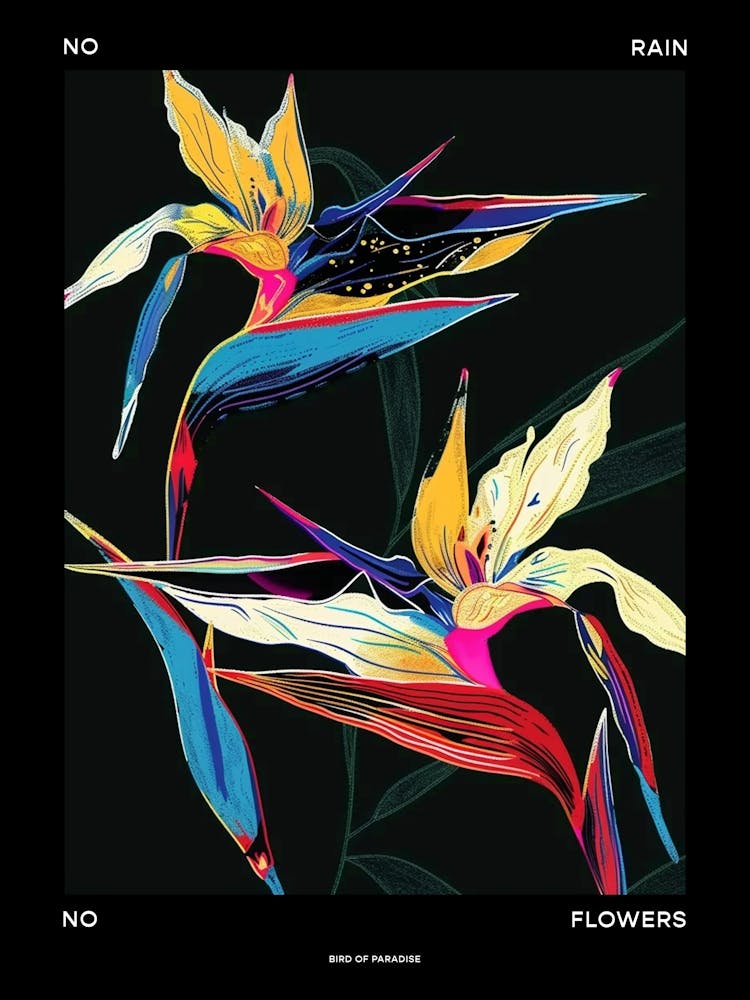 No Rain No Flowers Poster Bird Of Paradise 4