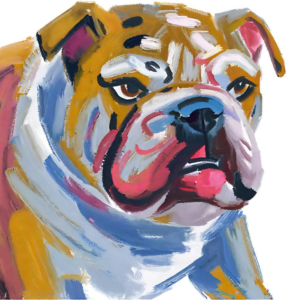 Bulldog 02