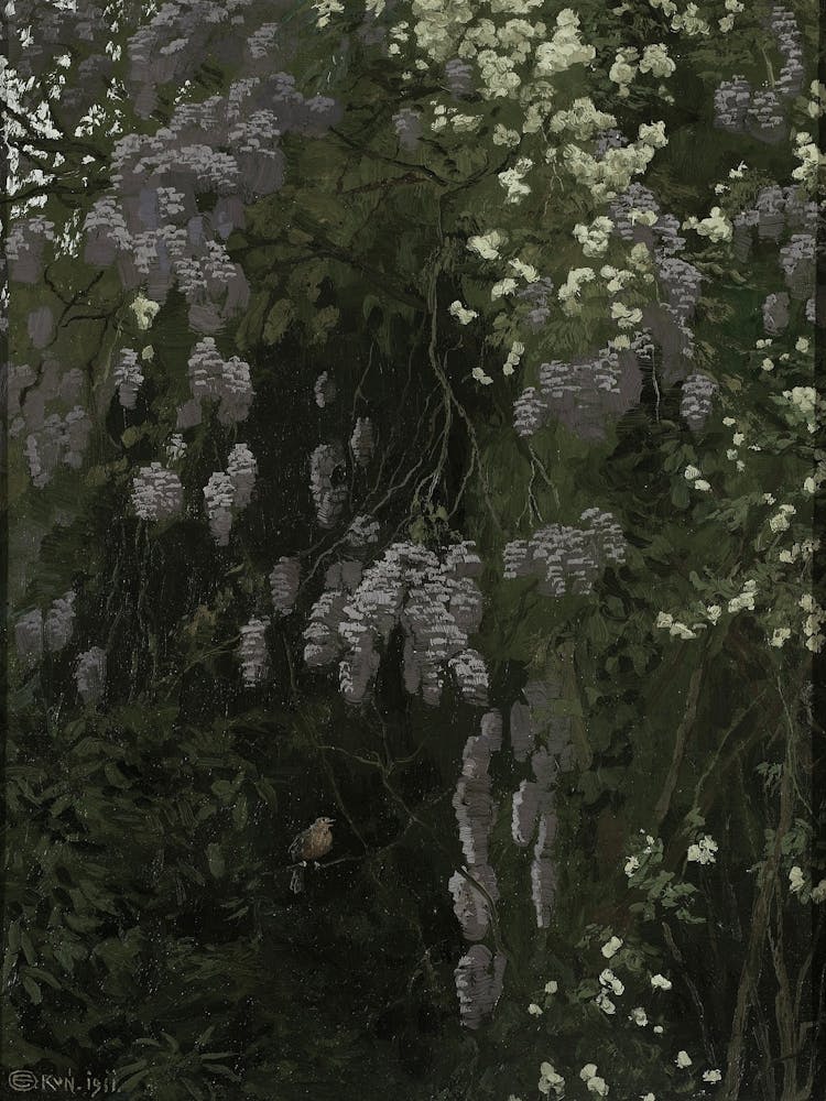 Wisteria