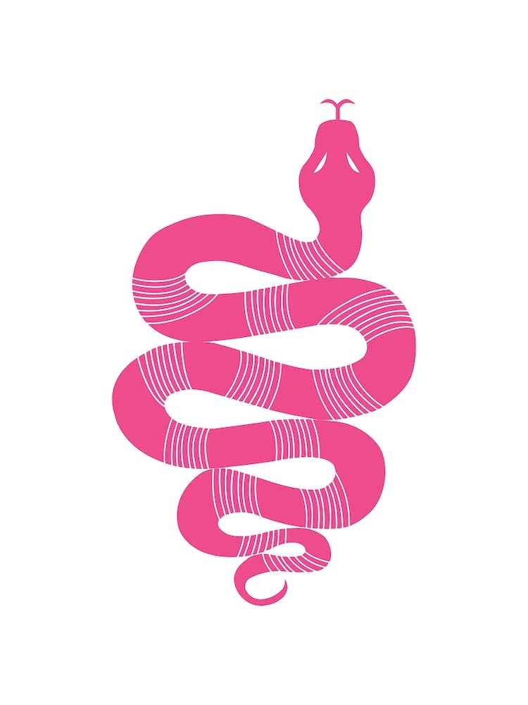 Large Snake Stripes Pink