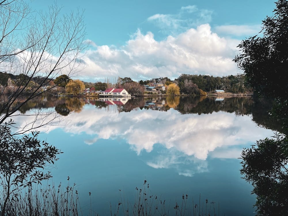 Reflection In A Lake